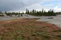 13 Norris Geyser Basin