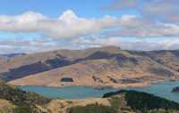 59 Baie de Lyttelton