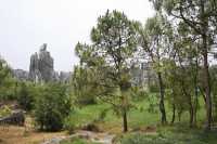 051 Pierres & arbres