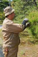 025 Château Nijo-jo (Jardinier)