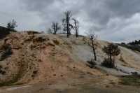 81 Mammoth Hot Spring Terraces B