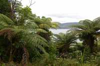 084 Queen Charlotte Sound - Anakiwa