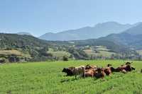 104 Entre Lalley & Treminis