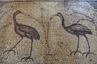 20 Mosaïque - Mosaïque - Deux échassiers