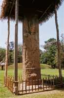 188 Quirigua stèle
