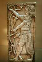 573 Syrien cueillant le fruit et la fleur d'un arbre (8ème siècle)