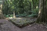 42 Marae (Vallée d'Opunohu)