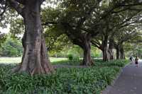 23 Hyde Park, Allée