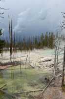 06 Norris Geyser Basin