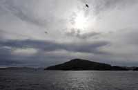 17 Ouest de l'île  du Cap Horn