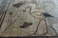 19 Mosaïque - Héron