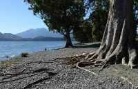 32 Lac Te Anau
