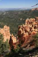 67 Ponderosa (2900) B