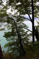 082 Queen Charlotte Sound - Anakiwa B