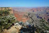 22 Gd Colorado Neige