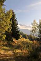 66 Vers Pierre Blanche