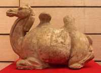 110 Chameau (Tang 618-907)