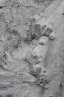 60 Motifs dans le sable