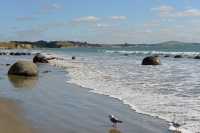 15 Boulders de Moeraki B