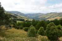 51 Entre Le Bons Bay et Okains Bay