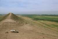 661 Ancien rempart entre la porte de Shamash et la porte Holzi