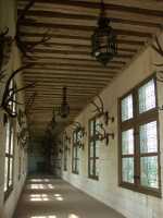 Galerie des trophées 1