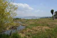 15 Rive du lac près de la chapelle de la confession de Pierre