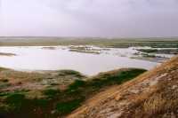 717 Kasiphya, le grand Zab