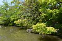 34 Temple Kiyomizu-Dera