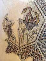 21 Mosaïque byzantine - Emmaüs - Amwas-Nicopolis