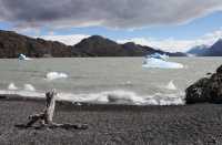 064 Lago Grey & icebergs B