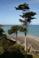 12 Plage sous la villa