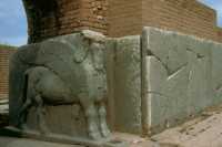 522 Cour intérieur privée, génie protecteur