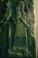 583 Korsabad, porteur des armes du roi