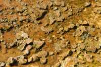 052 West Thumb Geyser Basin