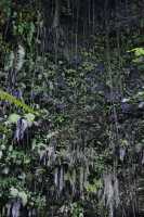 039 Grotte Mata Va'a