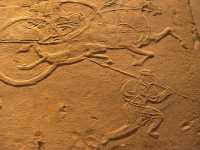 60 Char couvert - Han (25-220)