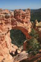 56 Natural Bridge