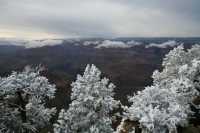 31 Gd Colorado Neige