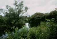 01 - La Vanne à Villemaur