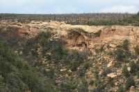 002 Canyon + Oak Tree