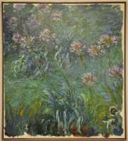 47 Claude Monet - Agapanthus (Lys africain) - (Giverny 1920±)