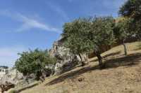 32 Hakeldama - Vallée de la Géhenne près du Monastère Saint-Onuphrius