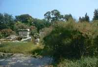 428 Fontaine d'Arethuse