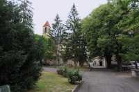 071 Chartreuse Saint-Sauveur