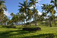 58 Palmeraie & restes du village (Aldea Manga Hauepa)