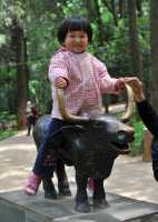 28 Taureau et cavalière