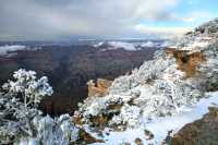 45 Gd Colorado Neige *