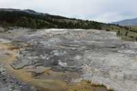 53 Minerva Terrace B