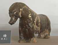 89 Chien -  Tb imp Wei du Nd 484